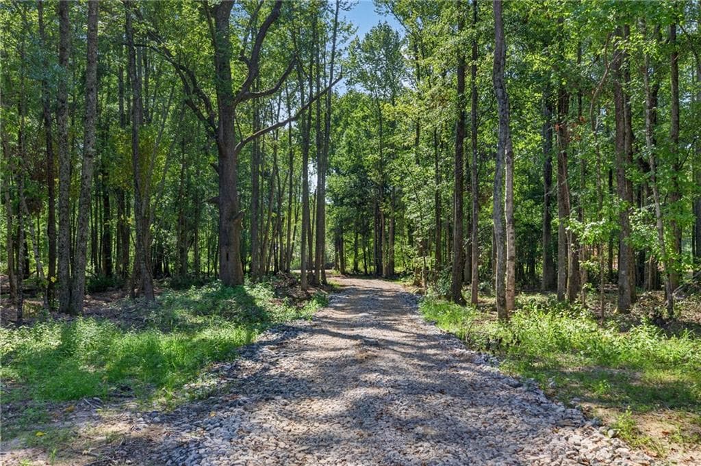 4 bedroom, 2 bathroom, 1,733 sq ft single family residence for sale at 339 Relay Road, Silver Creek, GA 30173 — photo 3