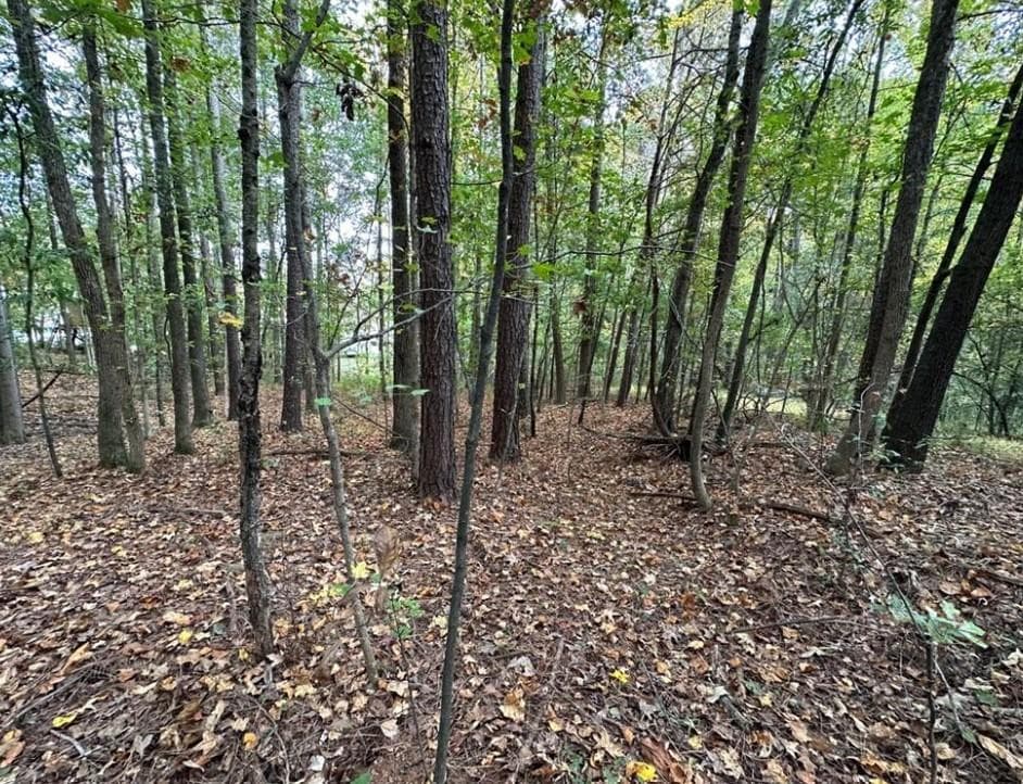 single family residence for sale at 0 Villa Rica Highway, Dallas, GA 30157 — photo 4