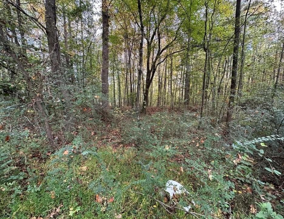 single family residence for sale at 0 Villa Rica Highway, Dallas, GA 30157 — photo 5