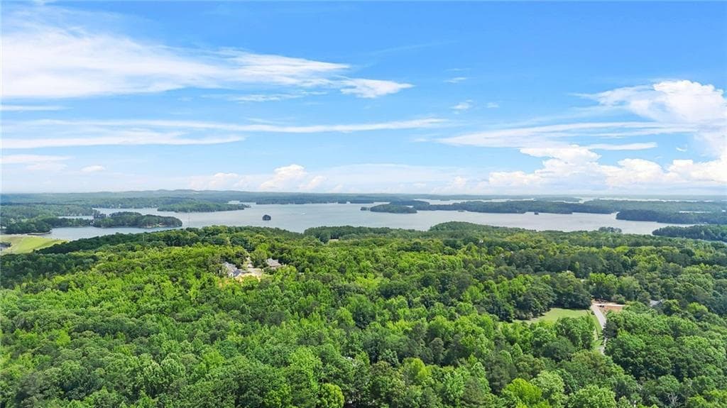 4 bedroom, 3 bathroom, 3,150 sq ft single family residence for sale at 1038 Island View Court, Buford, GA 30518 — photo 9
