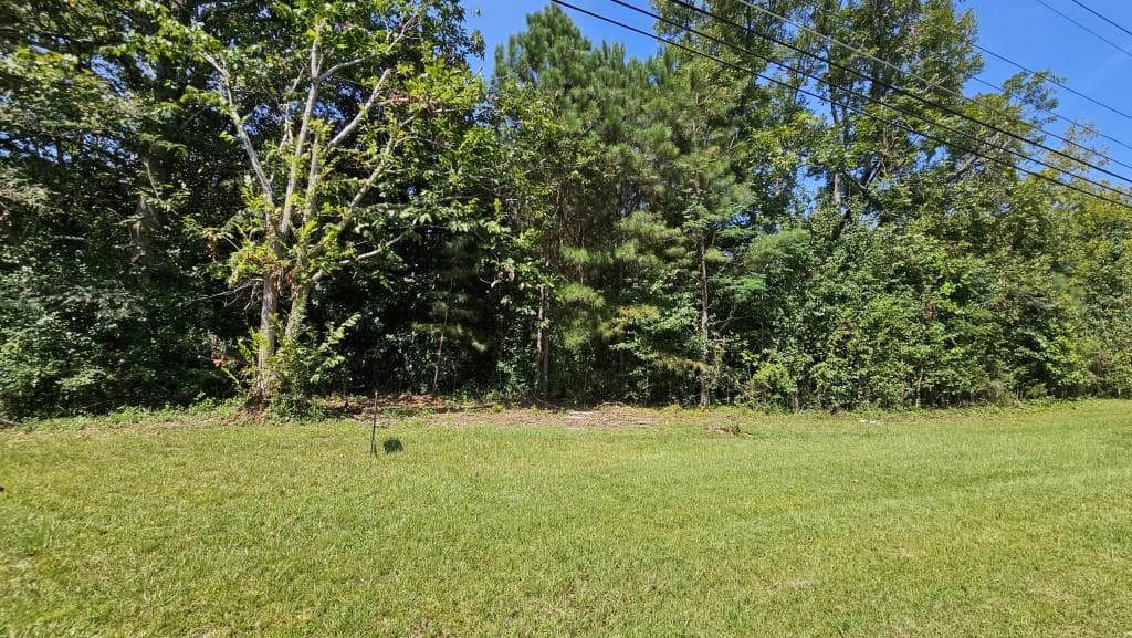 unimproved land for sale at 4333 Highway 5, Douglasville, GA 30135 — photo 2