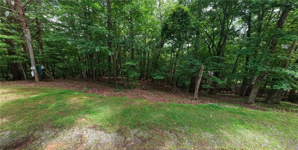 unimproved land for sale at 34 Laurel Ridge Drive, Ellijay, GA 30536 — photo 6