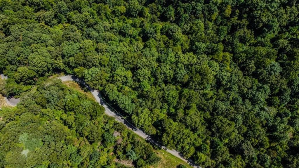 single family residence for sale at LT1012 Gateway Drive, Ellijay, GA 30540 — photo 4