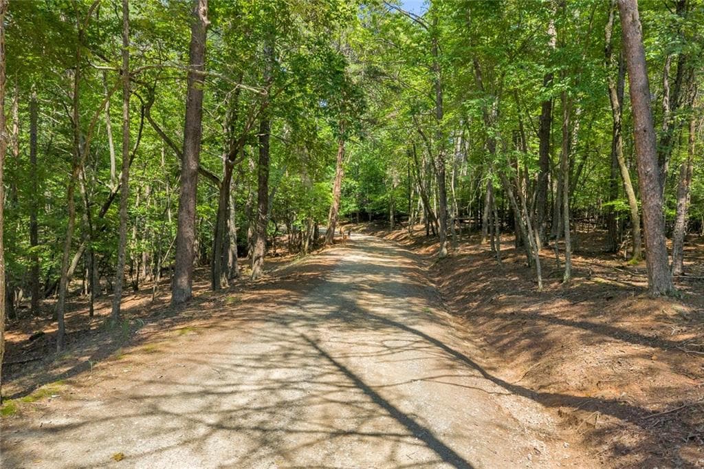 unimproved land for sale at 6409 Lights Ferry Road, Flowery Branch, GA 30542 — photo 5
