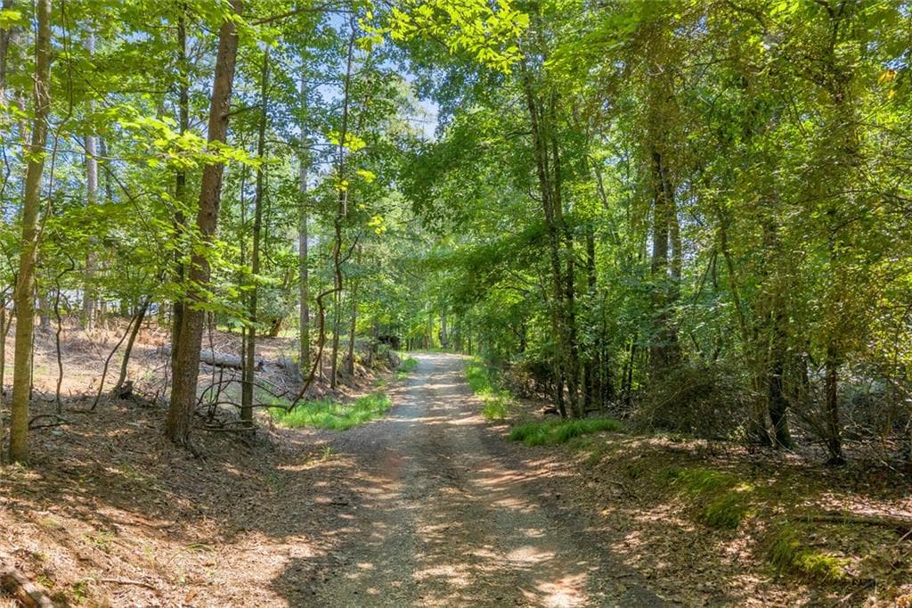 unimproved land for sale at 6409 Lights Ferry Road, Flowery Branch, GA 30542 — photo 6