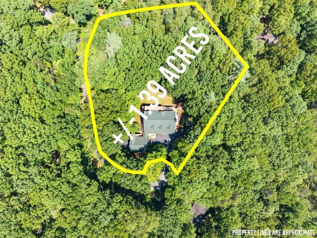 3 bedroom, 2 bathroom, 2,646 sq ft single family residence for sale at 257 Interlochen Court, Sautee Nacoochee, GA 30571 — photo 9