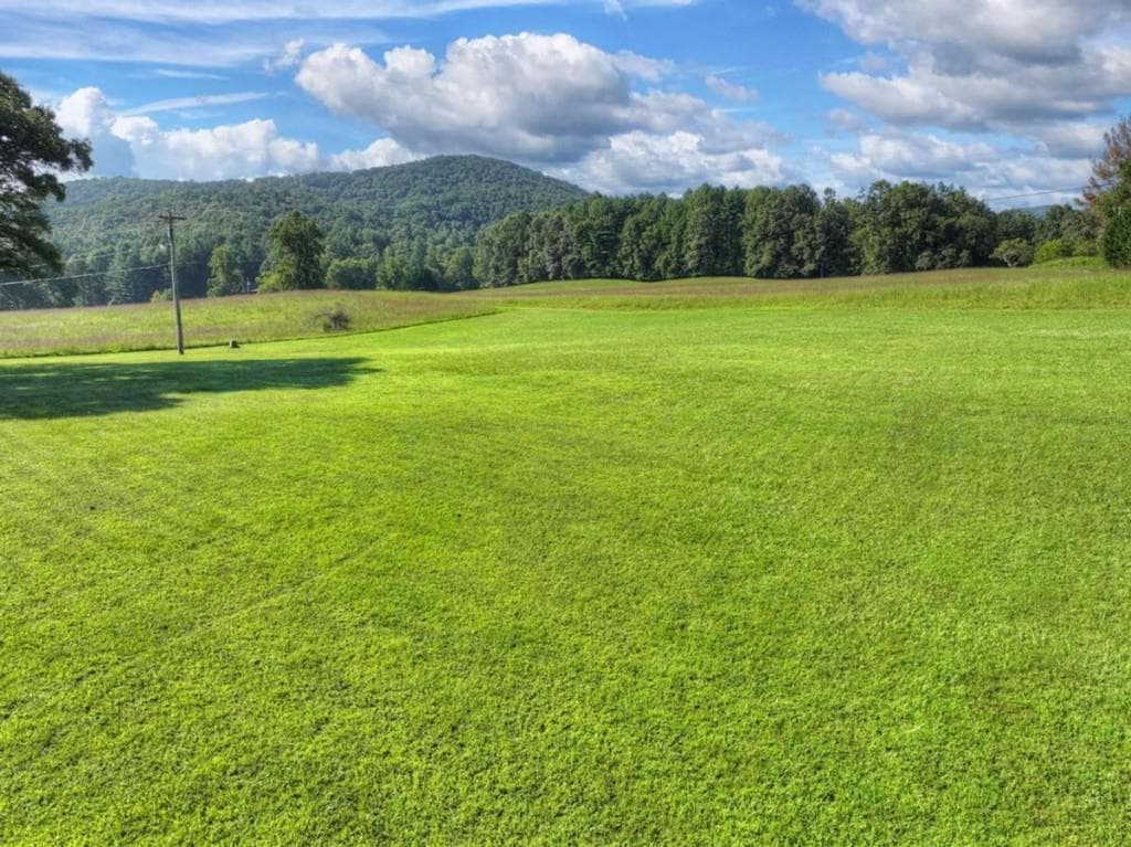 4 bedroom, 3 bathroom, 4,411 sq ft single family residence for sale at 43 Devils Den Road, Epworth, GA 30541 — photo 6