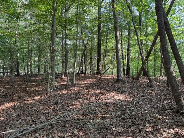 unimproved land for sale at 340 Jesse Martin Trail, Canton, GA 30115