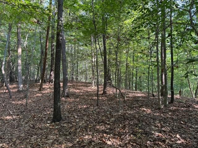 unimproved land for sale at 340 Jesse Martin Trail, Canton, GA 30115 — photo 4