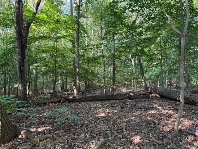 unimproved land for sale at 340 Jesse Martin Trail, Canton, GA 30115 — photo 5