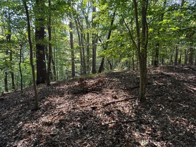 unimproved land for sale at 340 Jesse Martin Trail, Canton, GA 30115 — photo 6