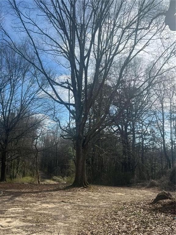unimproved land for sale at 98 Pine Shadows Drive, Dallas, GA 30157