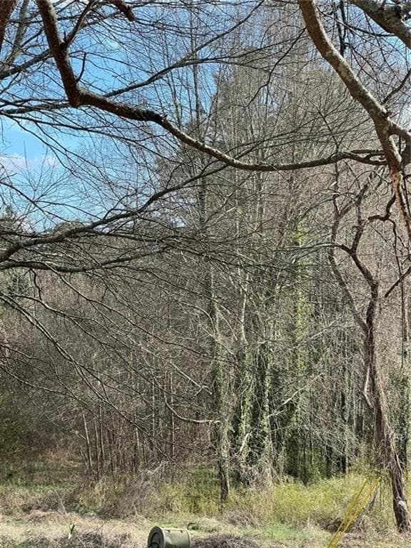 unimproved land for sale at 98 Pine Shadows Drive, Dallas, GA 30157 — photo 2