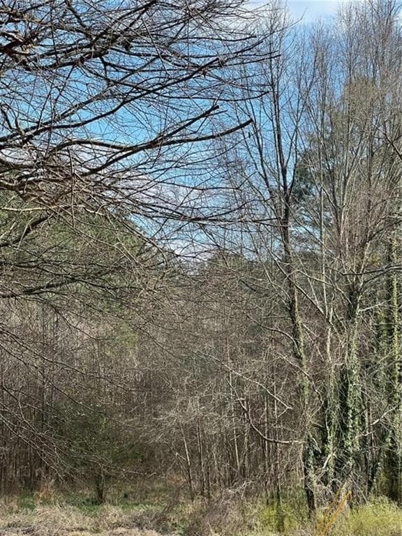 unimproved land for sale at 98 Pine Shadows Drive, Dallas, GA 30157 — photo 3
