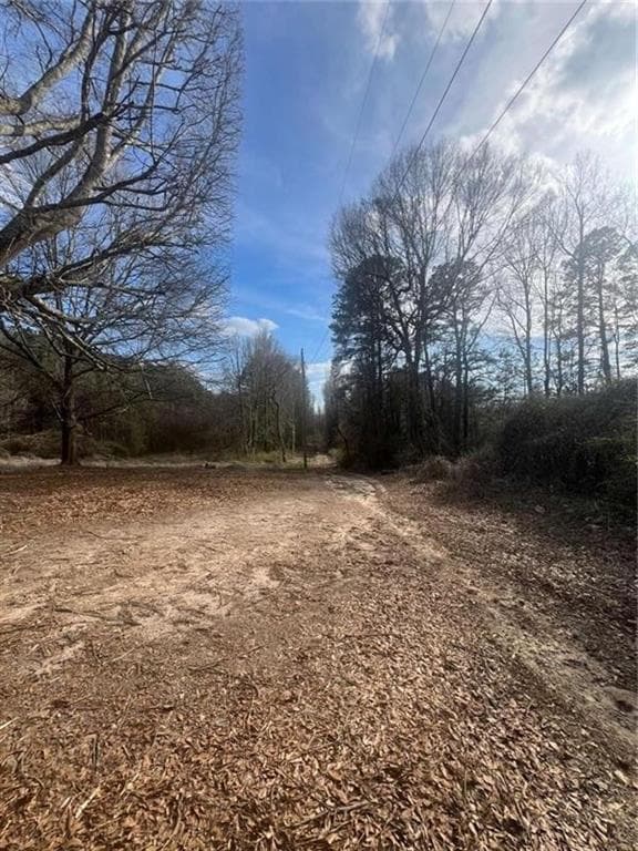 unimproved land for sale at 98 Pine Shadows Drive, Dallas, GA 30157 — photo 4