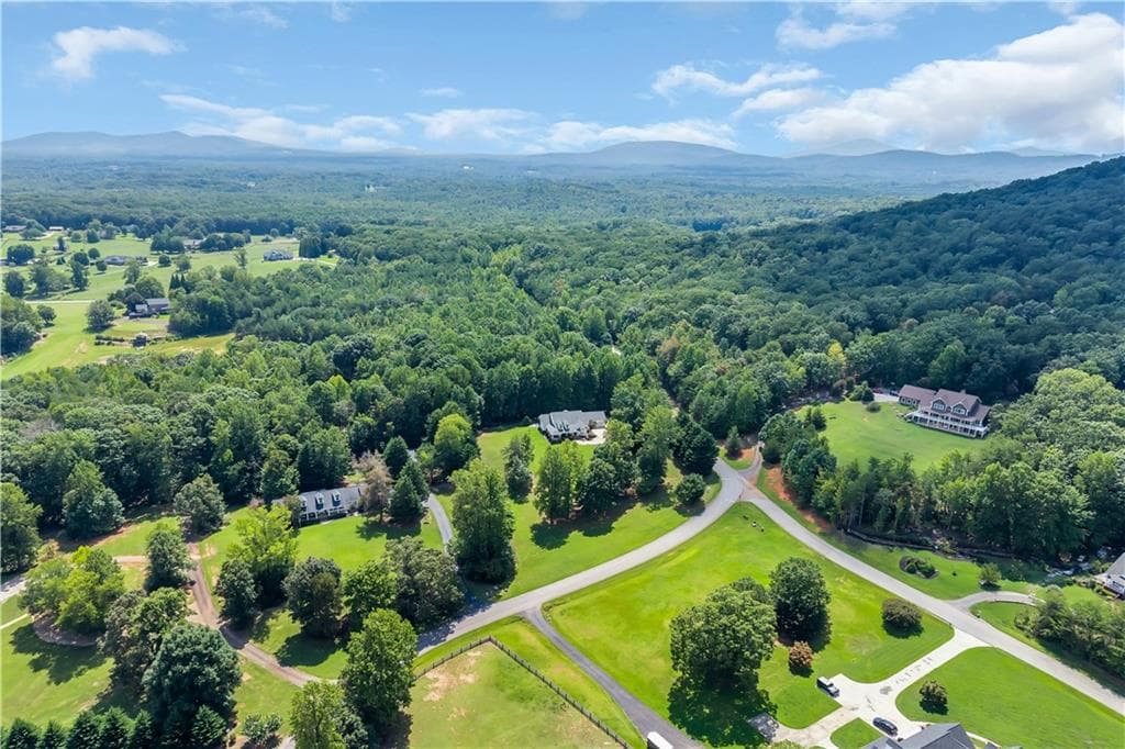 4 bedroom, 3 bathroom, 3,750 sq ft single family residence for sale at 270 Hidden Meadows Road, Cleveland, GA 30528 — photo 4