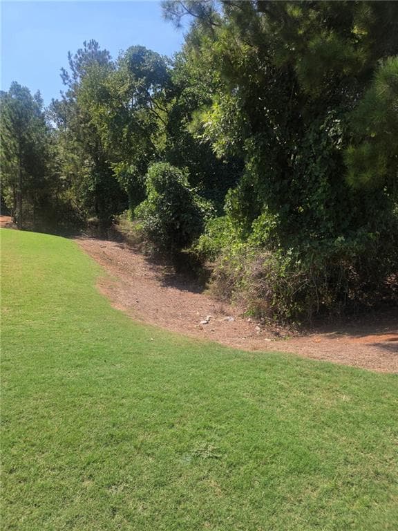 unimproved land for sale at 80 Serenity Way, Conyers, GA 30013 — photo 3