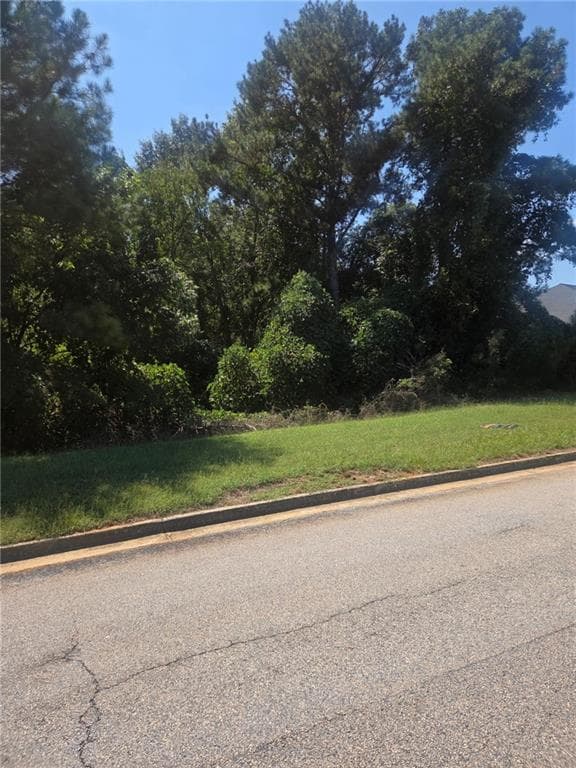 unimproved land for sale at 80 Serenity Way, Conyers, GA 30013 — photo 4
