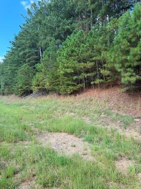 unimproved land for sale at 0 Fairview Road, Ball Ground, GA 30107 — photo 3