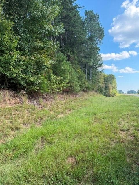 unimproved land for sale at 0 Fairview Road, Ball Ground, GA 30107 — photo 4