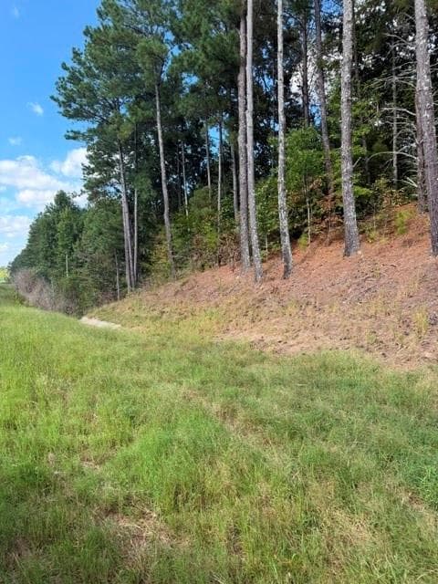 unimproved land for sale at 0 Fairview Road, Ball Ground, GA 30107 — photo 5