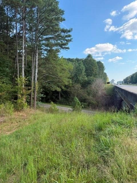 unimproved land for sale at 0 Fairview Road, Ball Ground, GA 30107 — photo 6