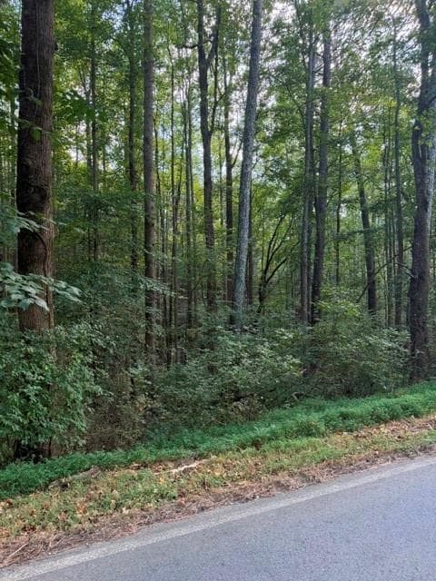 unimproved land for sale at 0 Fairview Road, Ball Ground, GA 30107 — photo 7
