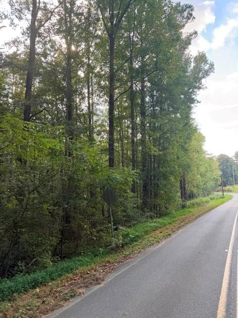 unimproved land for sale at 0 Fairview Road, Ball Ground, GA 30107 — photo 8