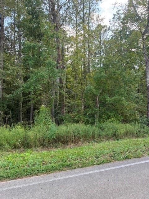 unimproved land for sale at 0 Fairview Road, Ball Ground, GA 30107 — photo 9