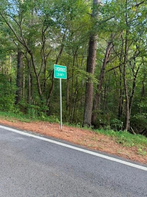 unimproved land for sale at 0 Fairview Road, Ball Ground, GA 30107 — photo 10