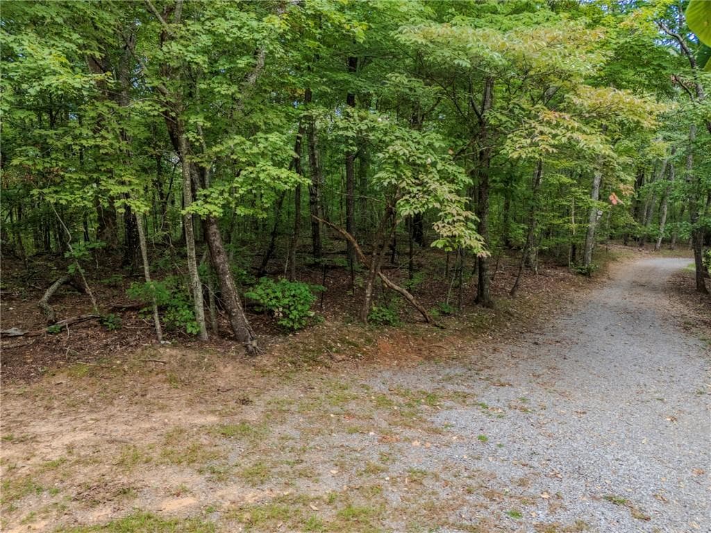 unimproved land under contract at 0 Clearview Drive, Jasper, GA 30143