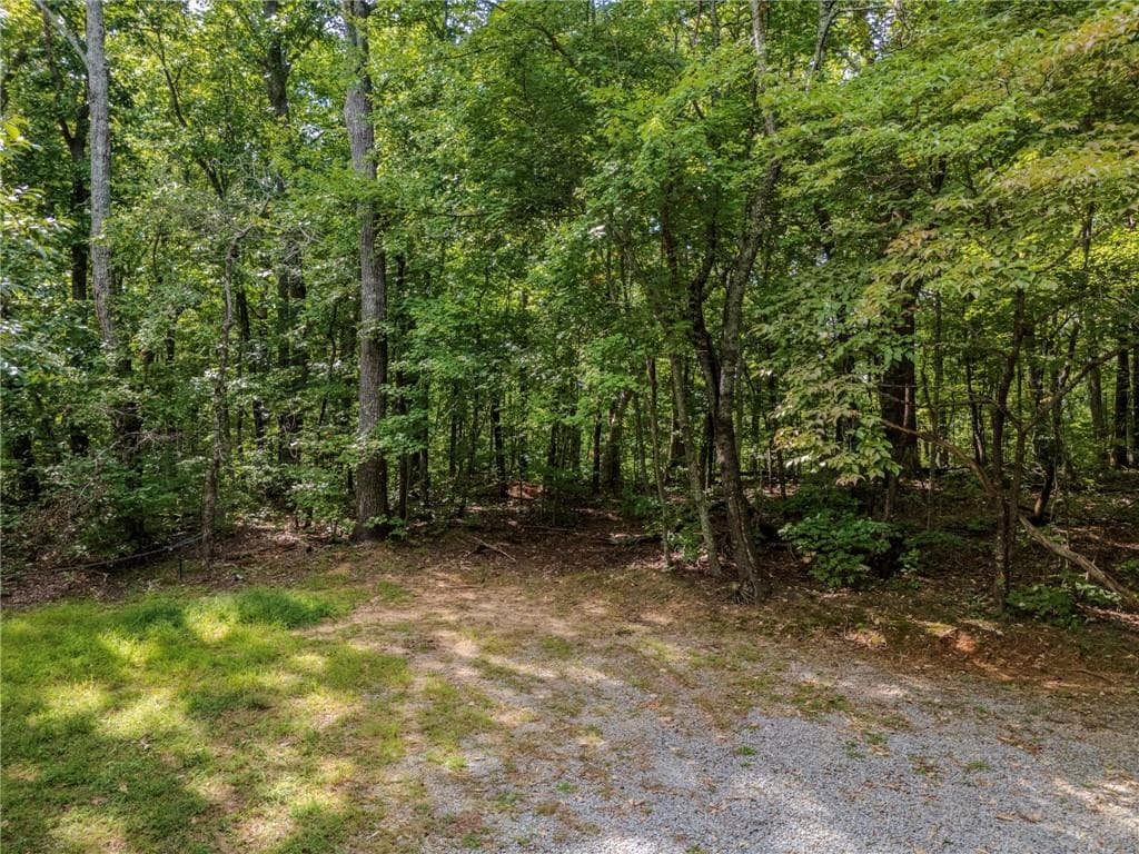unimproved land under contract at 0 Clearview Drive, Jasper, GA 30143 — photo 2