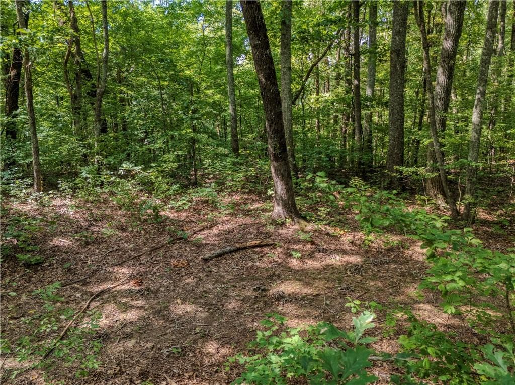 unimproved land under contract at 0 Clearview Drive, Jasper, GA 30143 — photo 3
