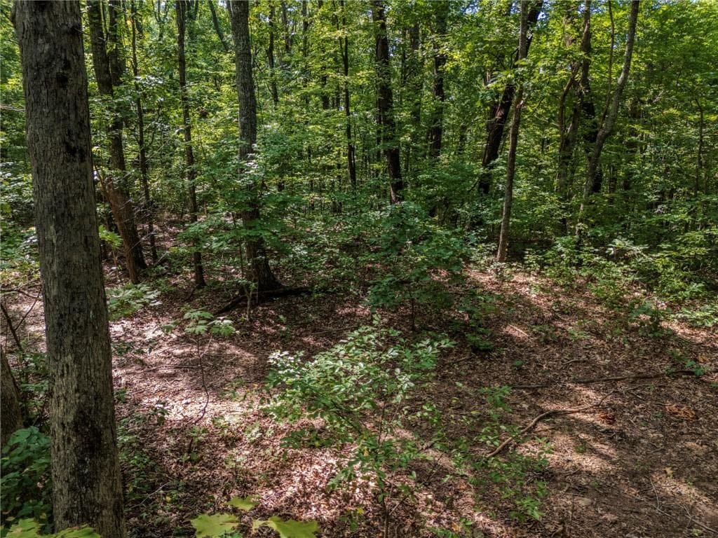 unimproved land under contract at 0 Clearview Drive, Jasper, GA 30143 — photo 4