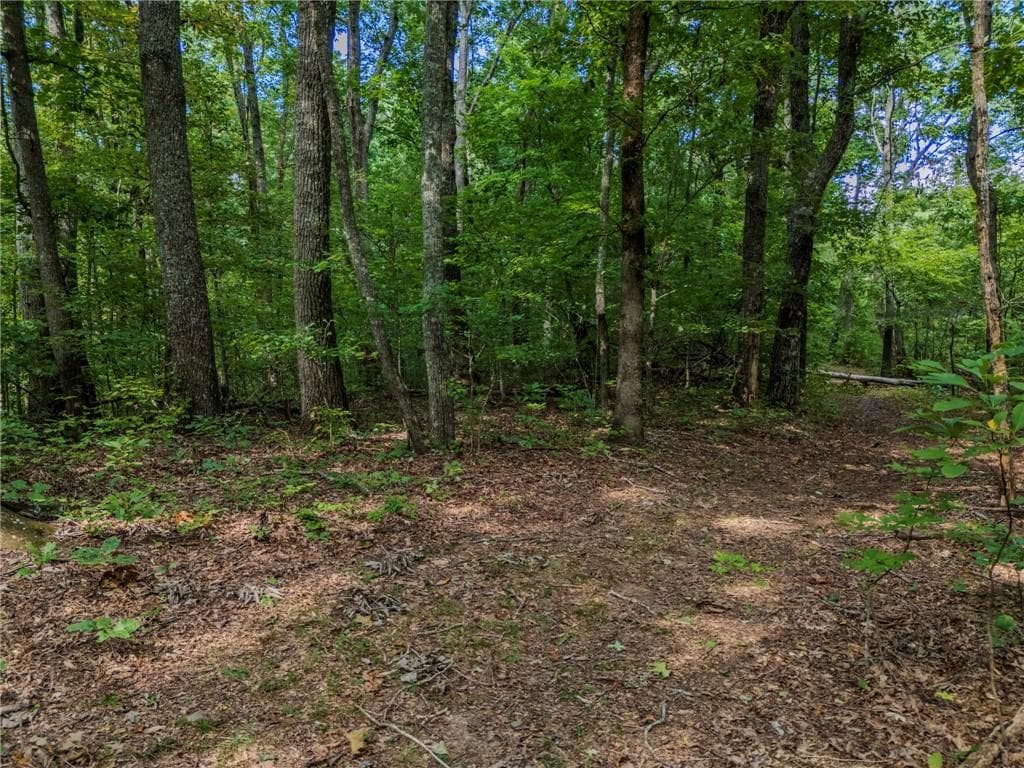 unimproved land under contract at 0 Clearview Drive, Jasper, GA 30143 — photo 5