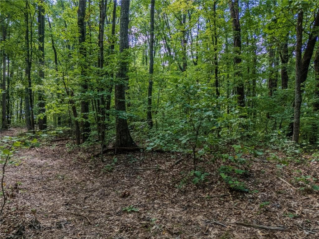 unimproved land under contract at 0 Clearview Drive, Jasper, GA 30143 — photo 6
