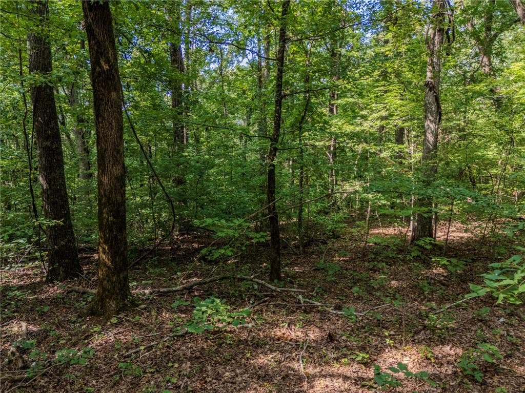 unimproved land under contract at 0 Clearview Drive, Jasper, GA 30143 — photo 7