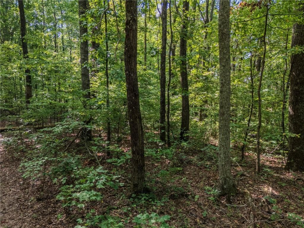 unimproved land under contract at 0 Clearview Drive, Jasper, GA 30143 — photo 8