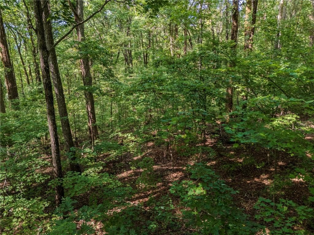 unimproved land under contract at 0 Clearview Drive, Jasper, GA 30143 — photo 9