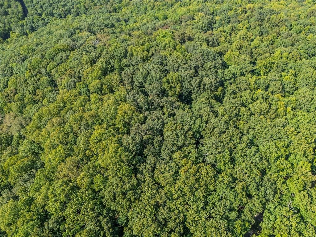unimproved land under contract at 0 Clearview Drive, Jasper, GA 30143 — photo 10
