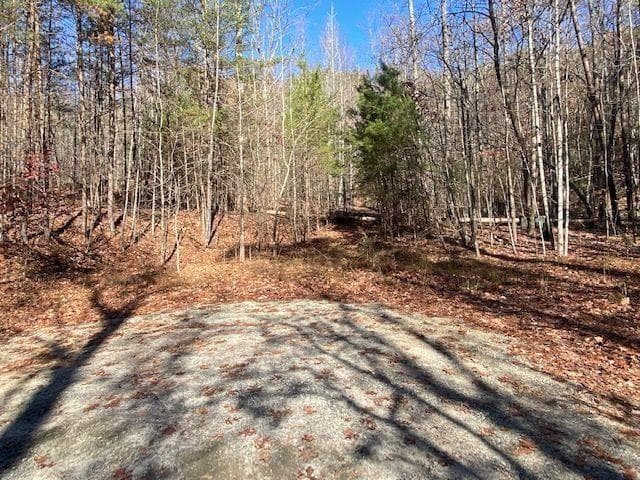other for sale at 8 Cameron Point, Cleveland, GA 30528
