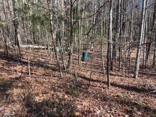other for sale at 8 Cameron Point, Cleveland, GA 30528 — photo 3