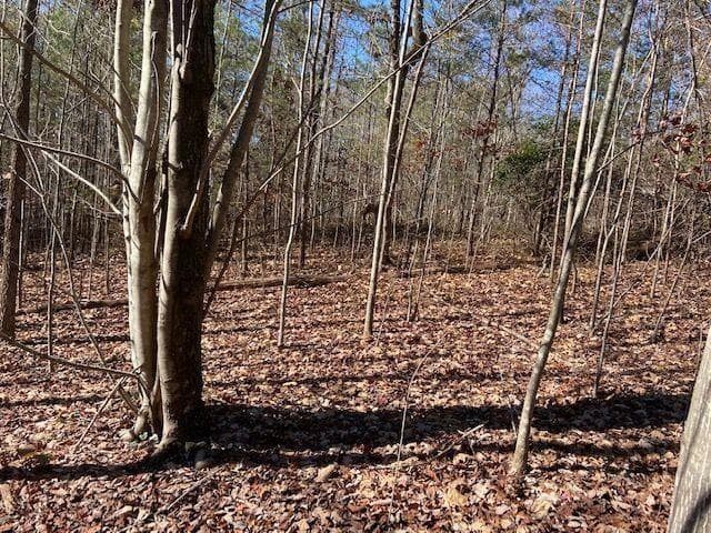 other for sale at 8 Cameron Point, Cleveland, GA 30528 — photo 4
