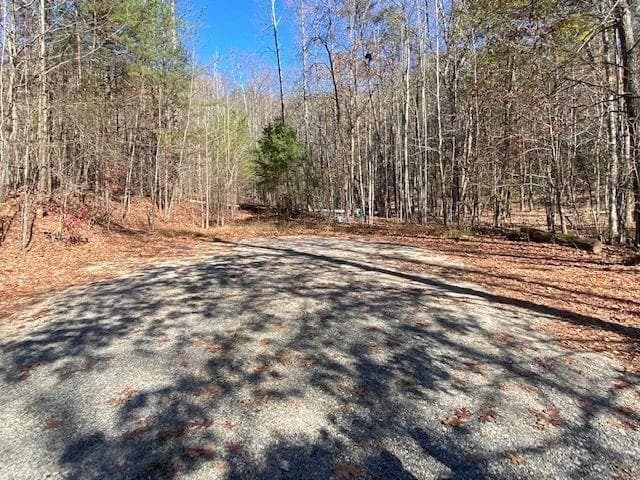 other for sale at 8 Cameron Point, Cleveland, GA 30528 — photo 5
