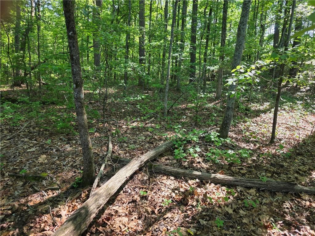 other for sale at 115 Cornish Trace Drive, Covington, GA 30014 — photo 3