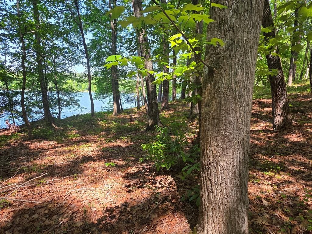 other for sale at 115 Cornish Trace Drive, Covington, GA 30014 — photo 6