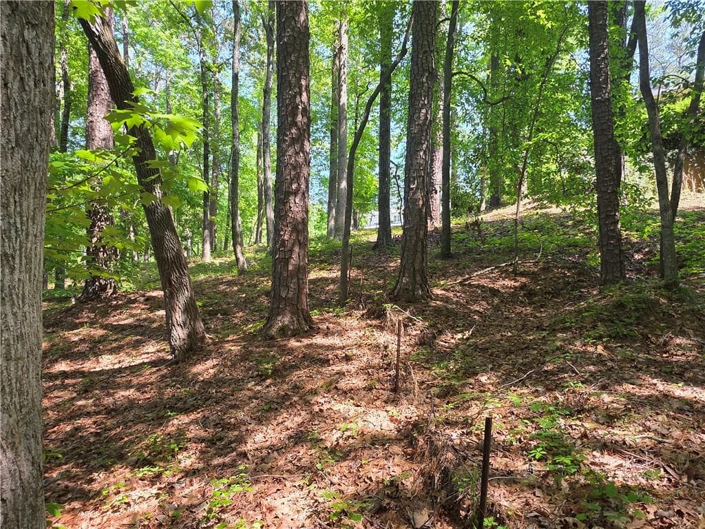 other for sale at 115 Cornish Trace Drive, Covington, GA 30014 — photo 7