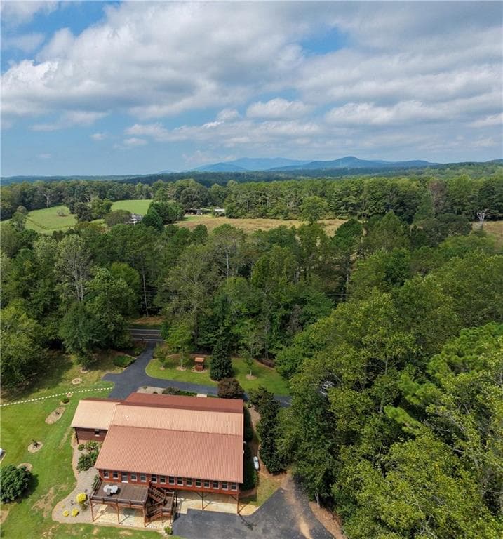 3 bedroom, 3 bathroom, 4,560 sq ft single family residence for sale at 9657 Kelly Bridge Road, Dawsonville, GA 30534 — photo 10