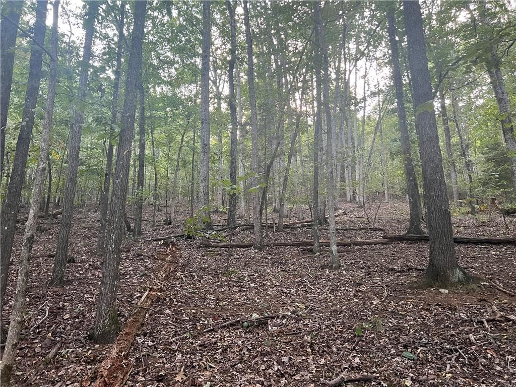 unimproved land for sale at 0 Rockfence Road, Adairsville, GA 30103 — photo 1 of 9