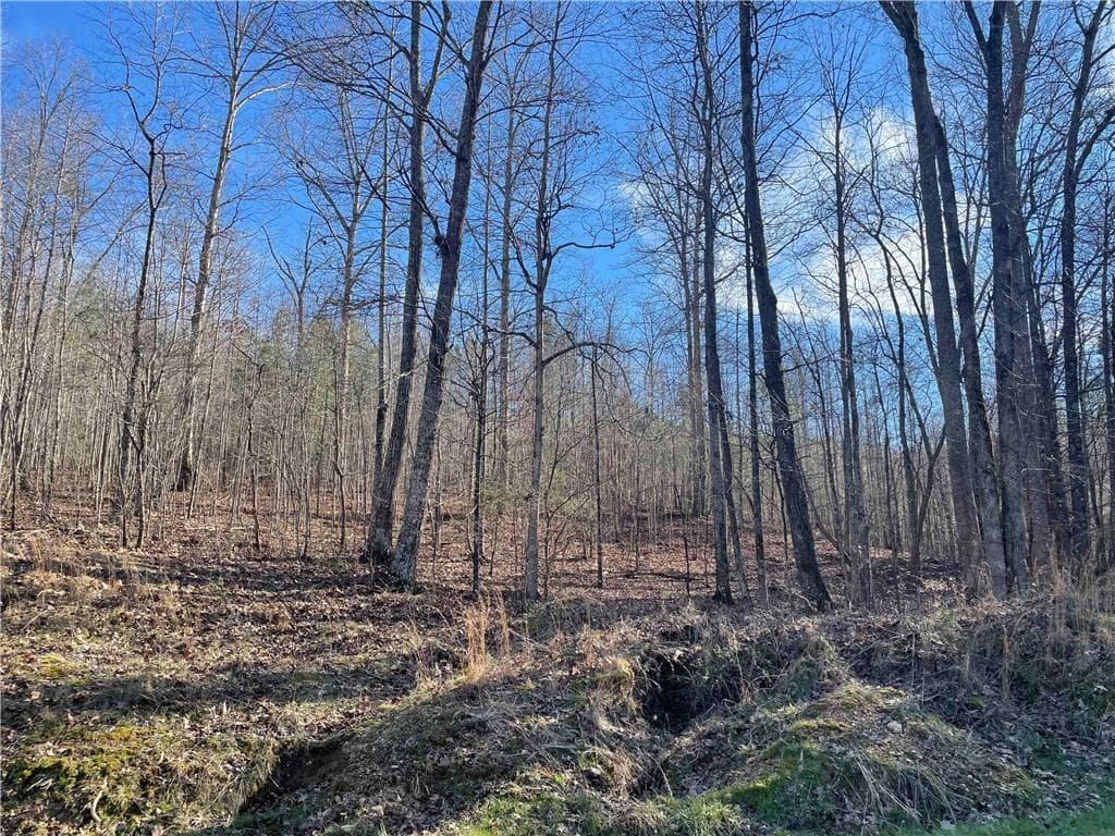 unimproved land for sale at 0 Rockfence Road, Adairsville, GA 30103 — photo 2